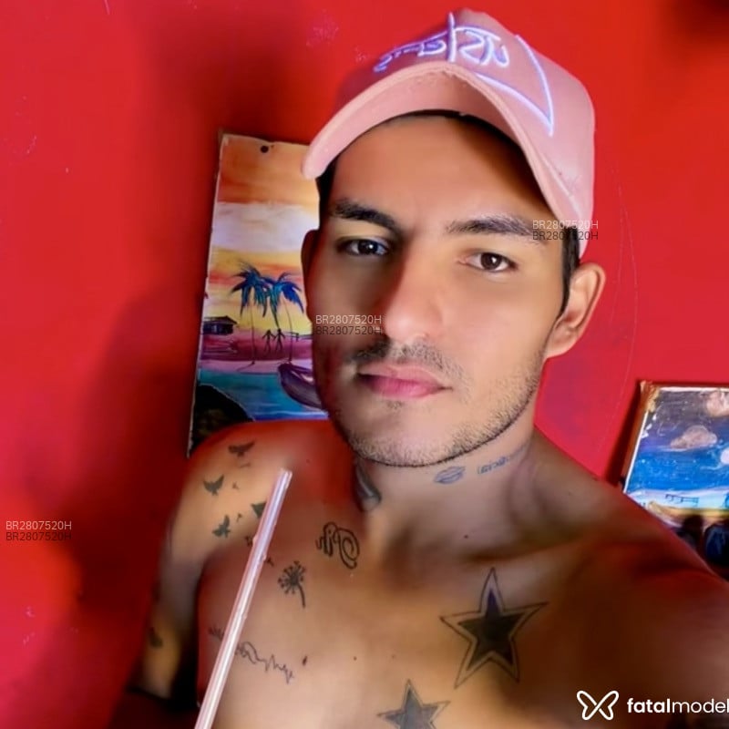 Acompanhante Wilianrosaoficial - Feed
