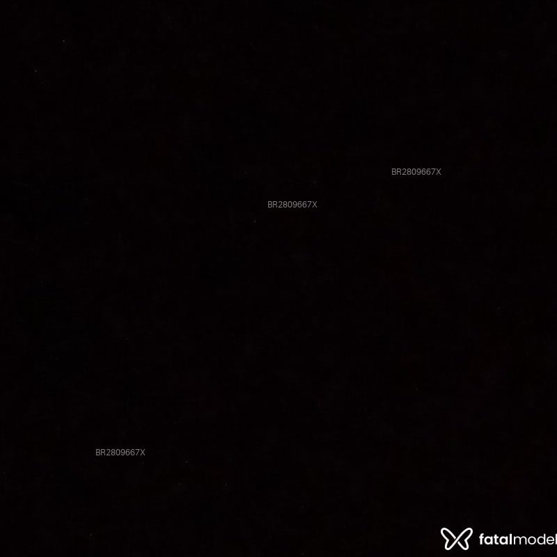 Acompanhante Ninna - Feed