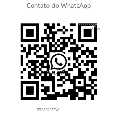 Acompanhante Bielzin - Feed