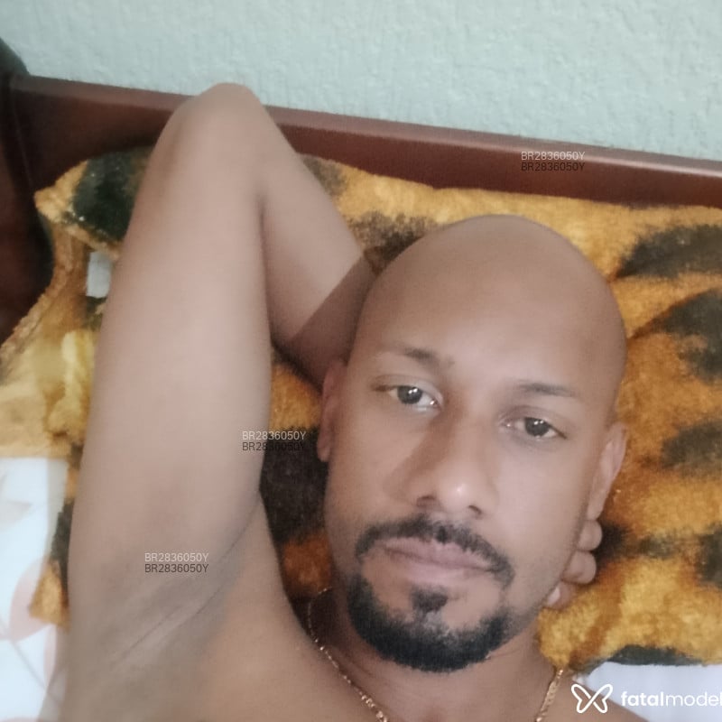 Acompanhante Vieira - Feed