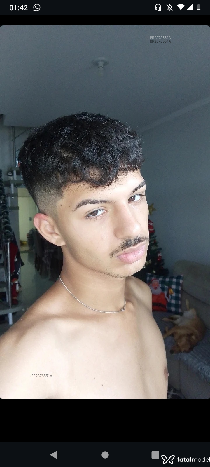 Acompanhante Nando - Feed