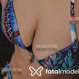Acompanhante Foguetinho - Feed