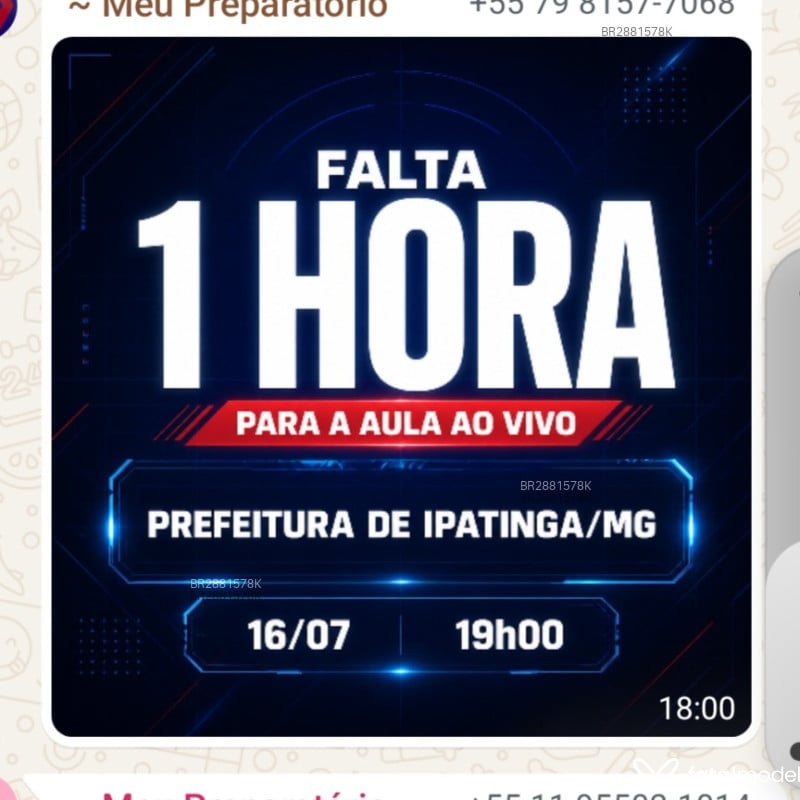 Acompanhante Foguetinho - Feed