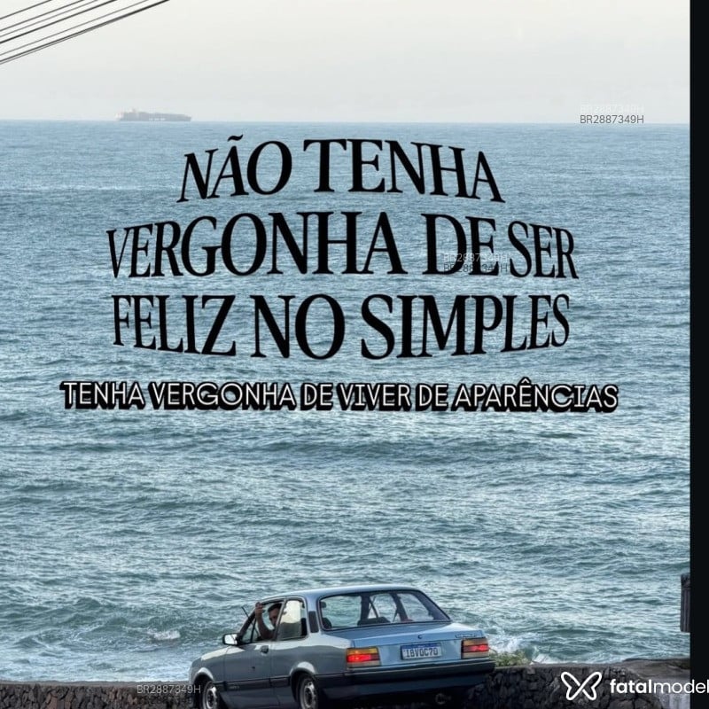 Acompanhante Vitor silva - Feed