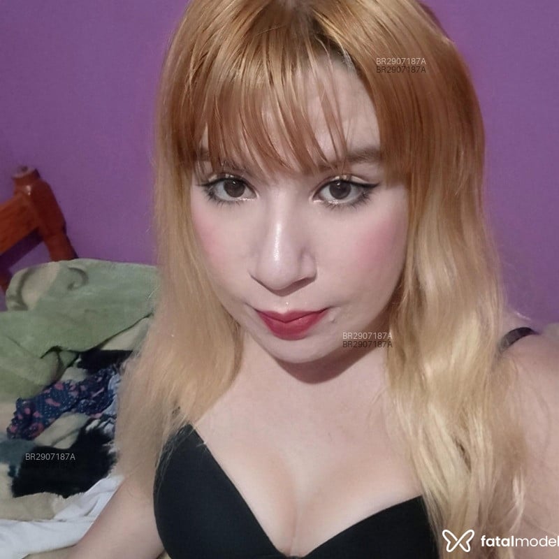 Acompanhante Carla - Feed