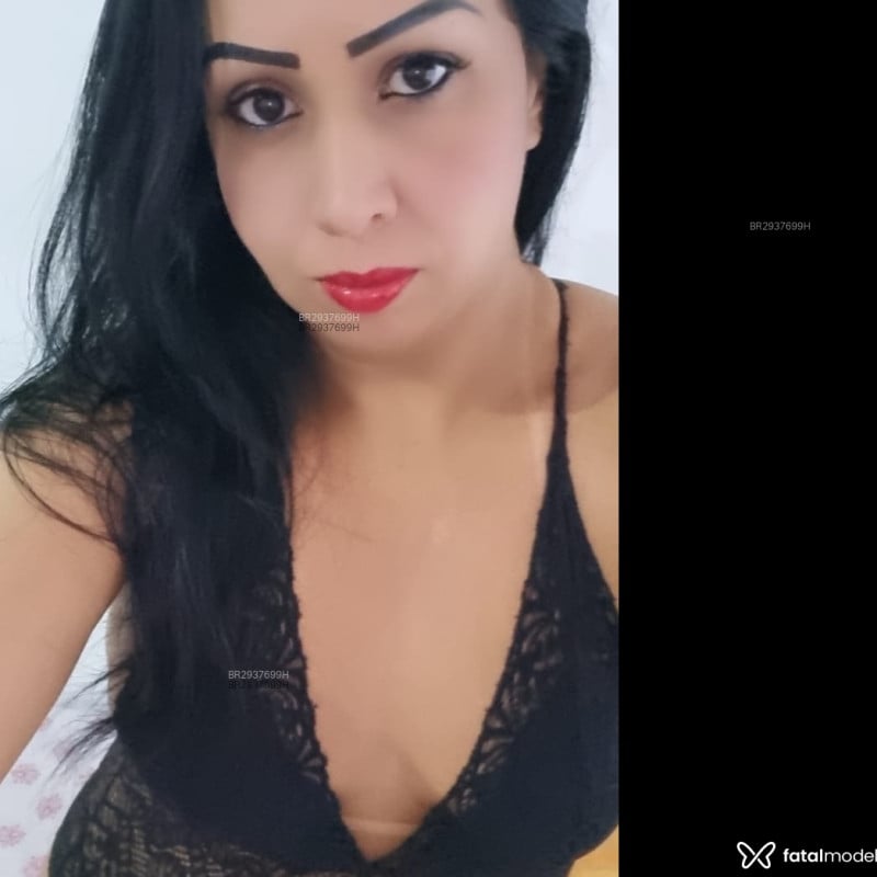 Acompanhante Lolla - Feed