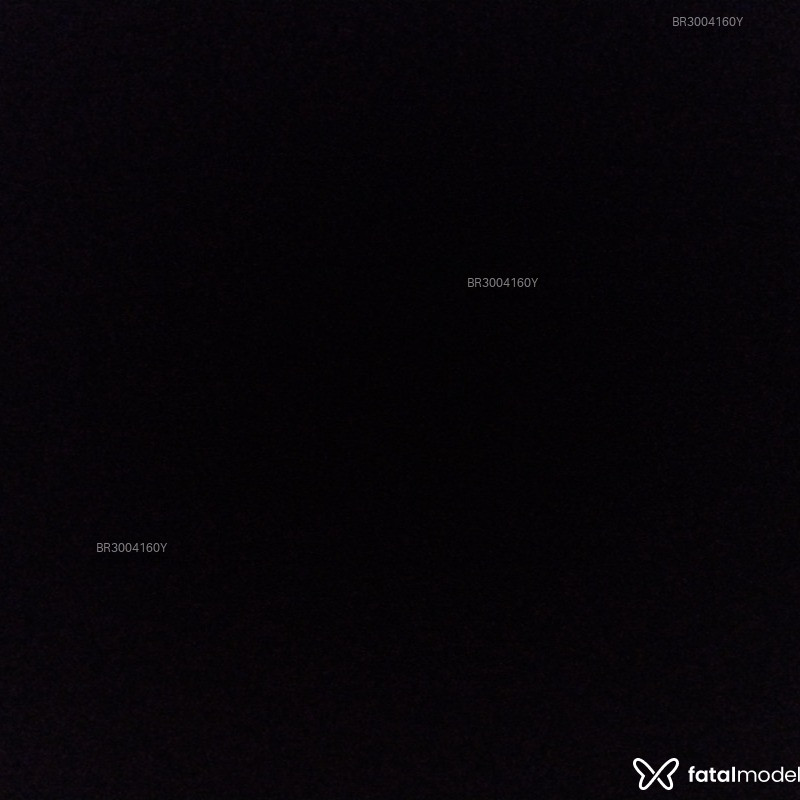 Acompanhante Dan - Feed
