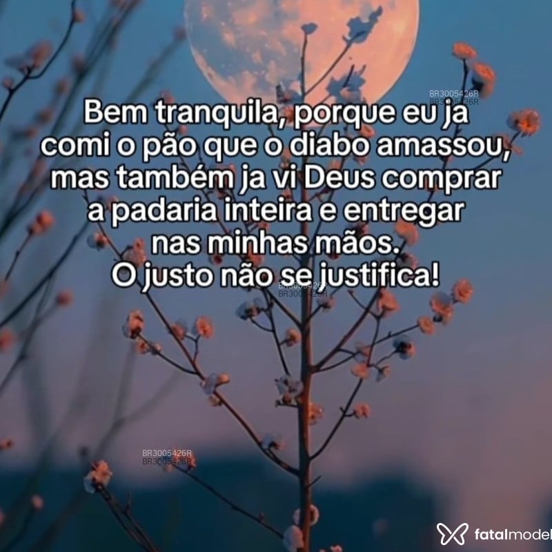 Acompanhante Morenabugra - Feed