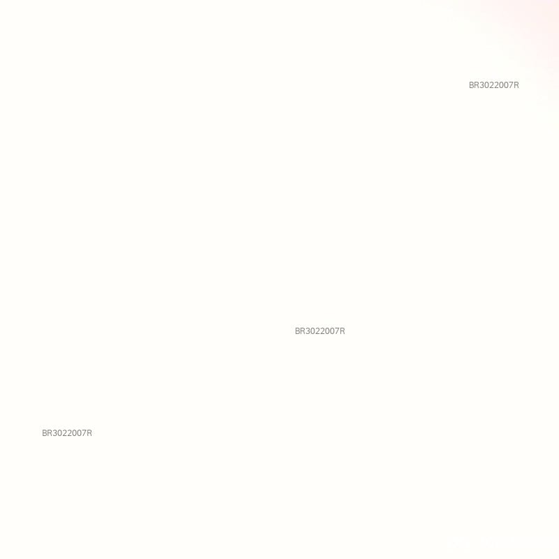 Acompanhante Gael - Feed