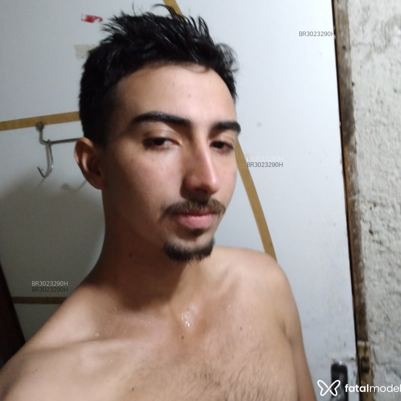 Acompanhante Eliseu - Feed