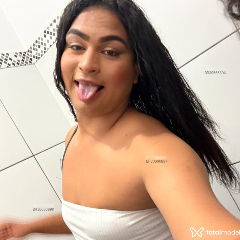 Acompanhante Nunes - Feed