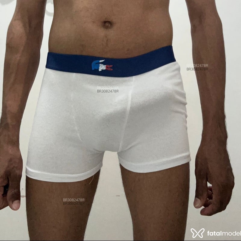 Acompanhante Alexandre - Feed