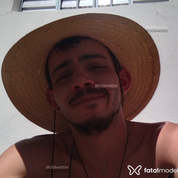 Acompanhante Mecânico - Feed