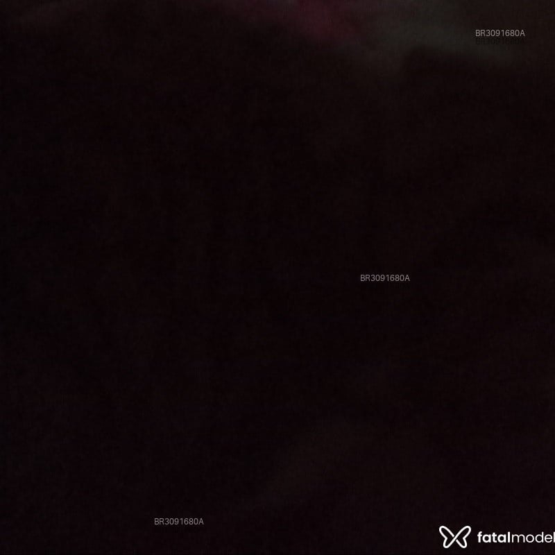 Acompanhante Tamires Fernandes - Feed