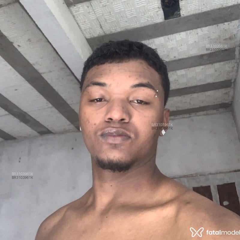 Acompanhante Neguin - Feed