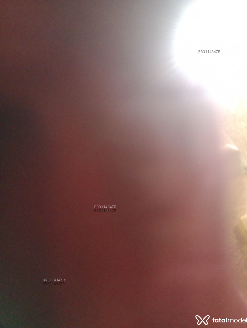 Acompanhante Gabriel - Feed