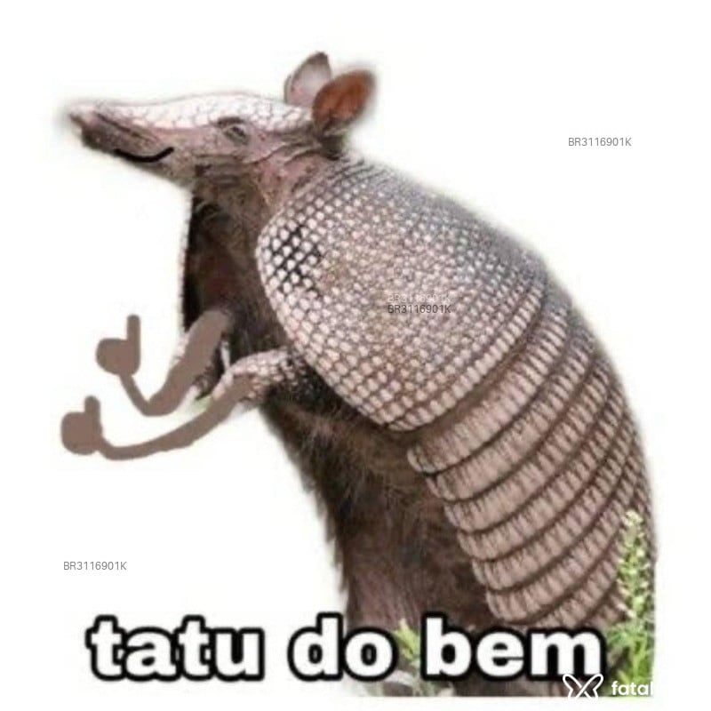 Acompanhante Maranhão - Feed
