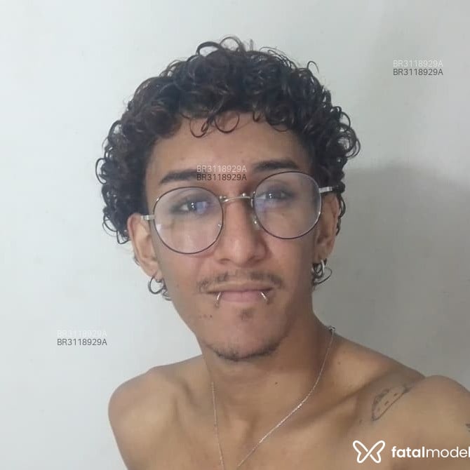 Acompanhante Ollie - Feed