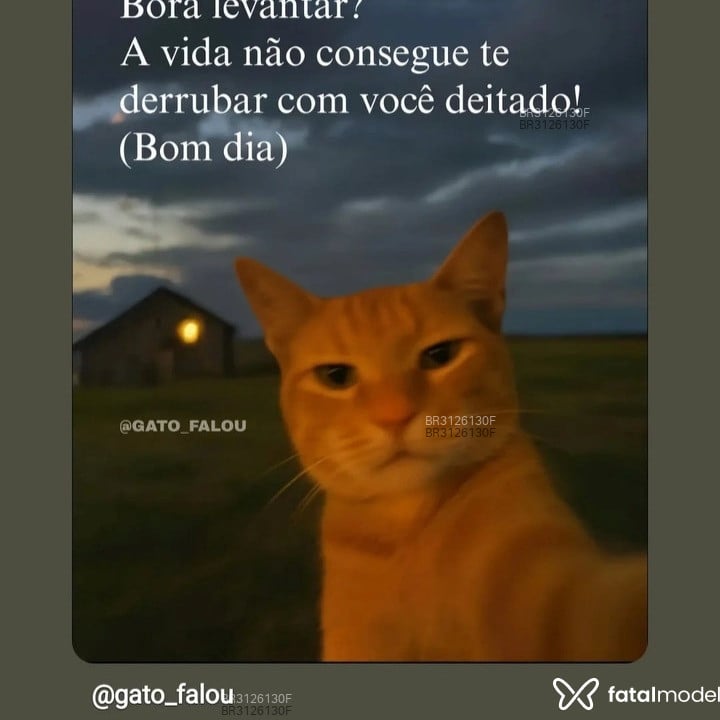 Acompanhante Amorin - Feed