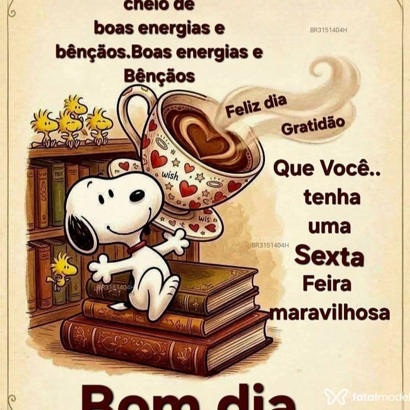 Acompanhante Nandinho - Feed