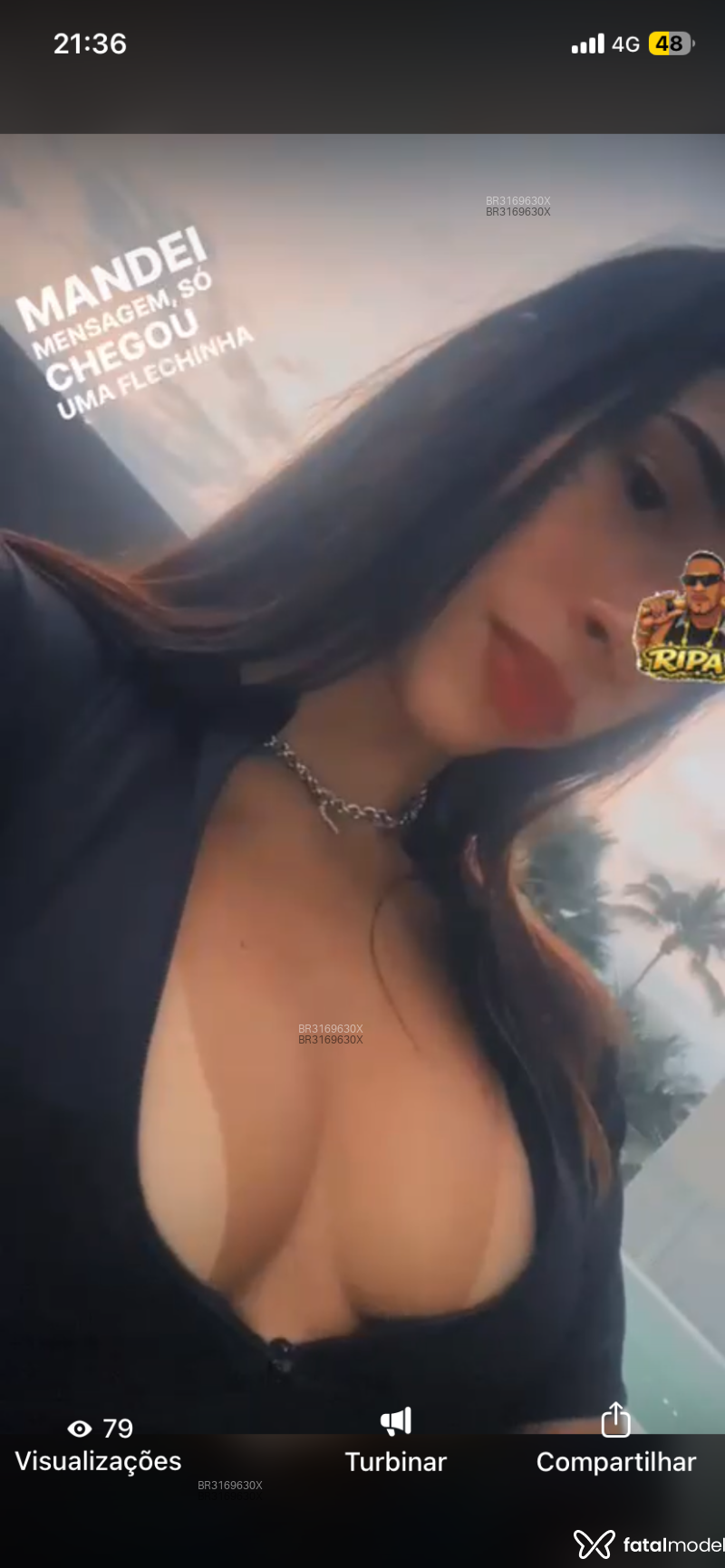Acompanhante Estrella - Feed