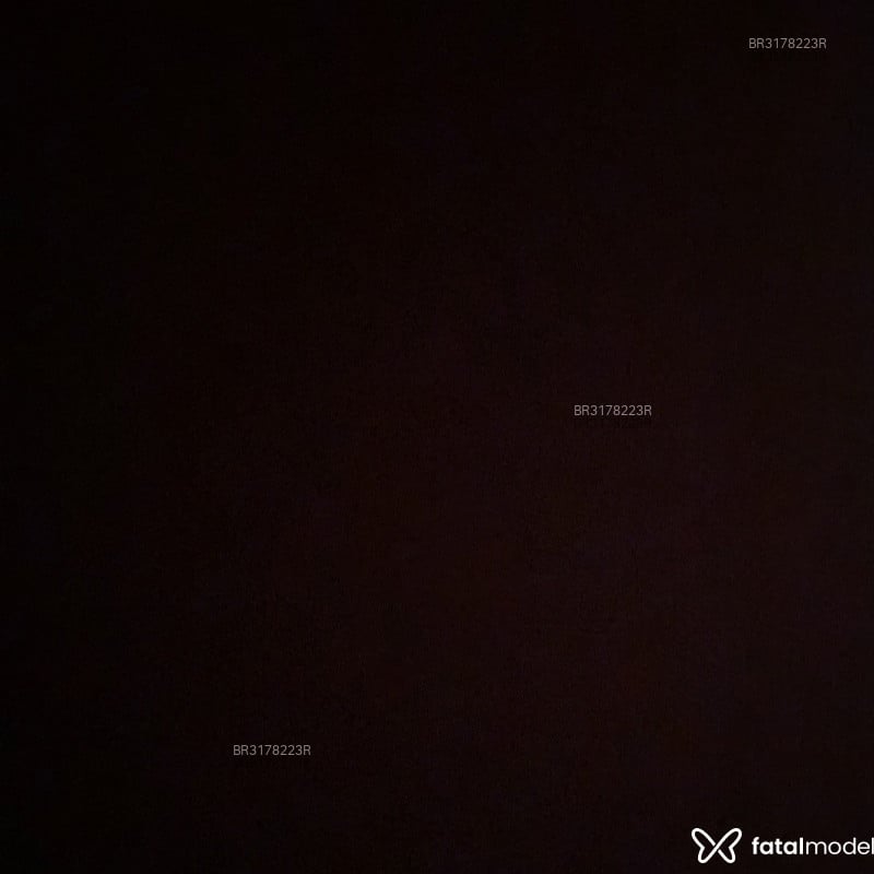 Acompanhante Kkaushow - Feed