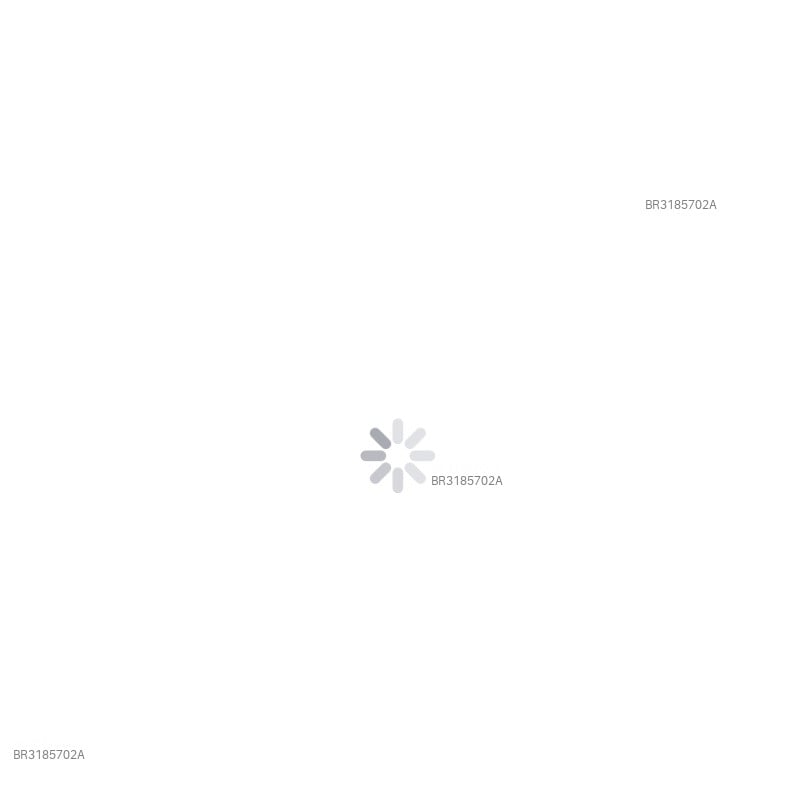 Acompanhante Lorena - Feed