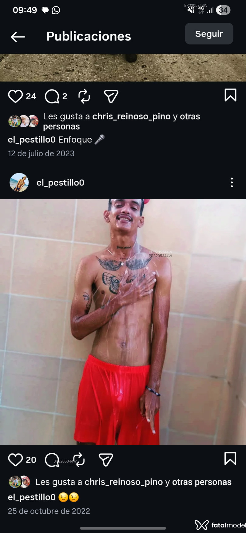Acompanhante Eross - Feed