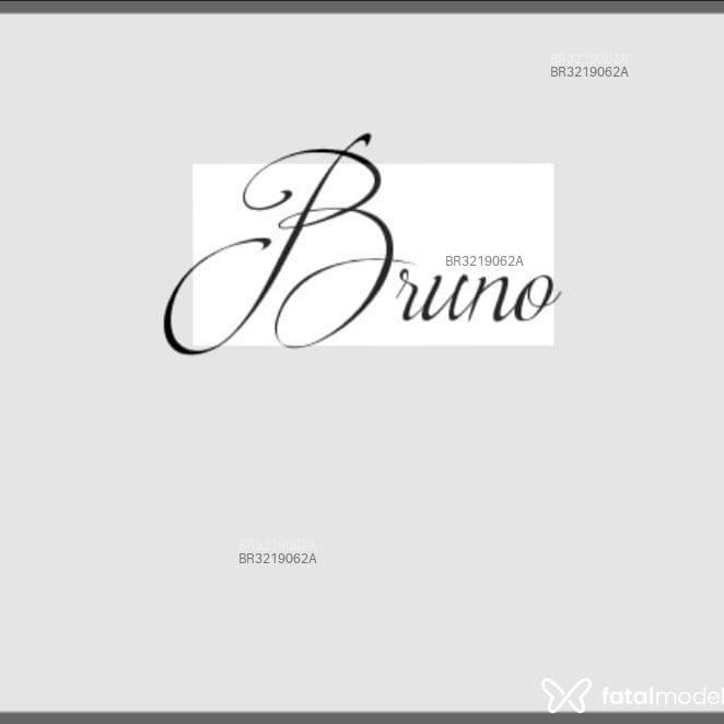 Acompanhante Bruno - Feed