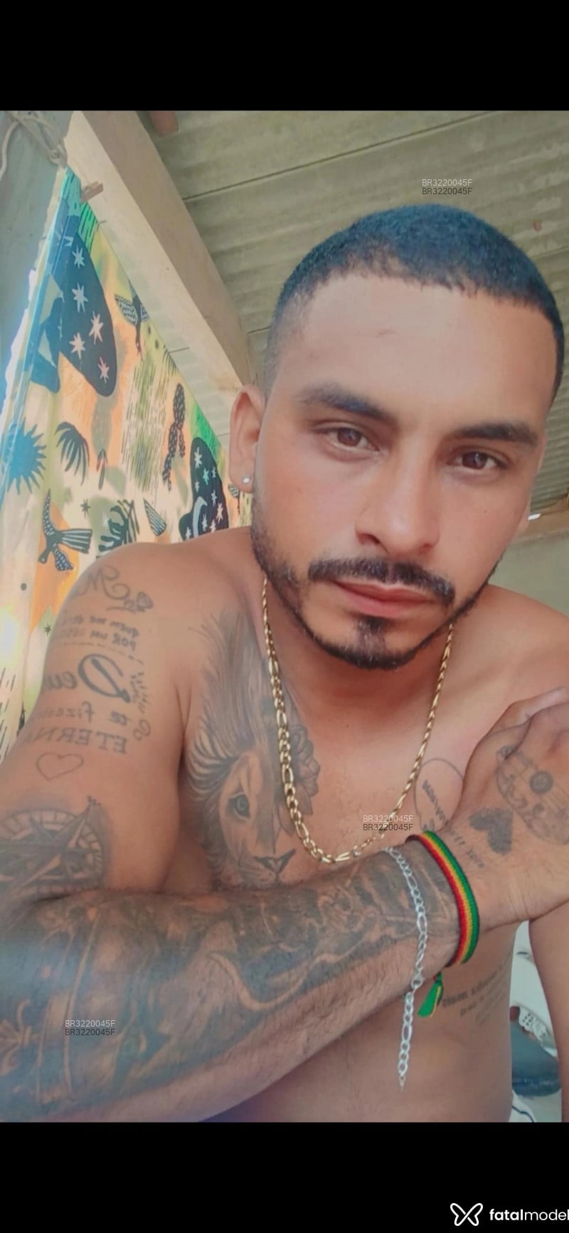 Acompanhante Dadinho - Feed
