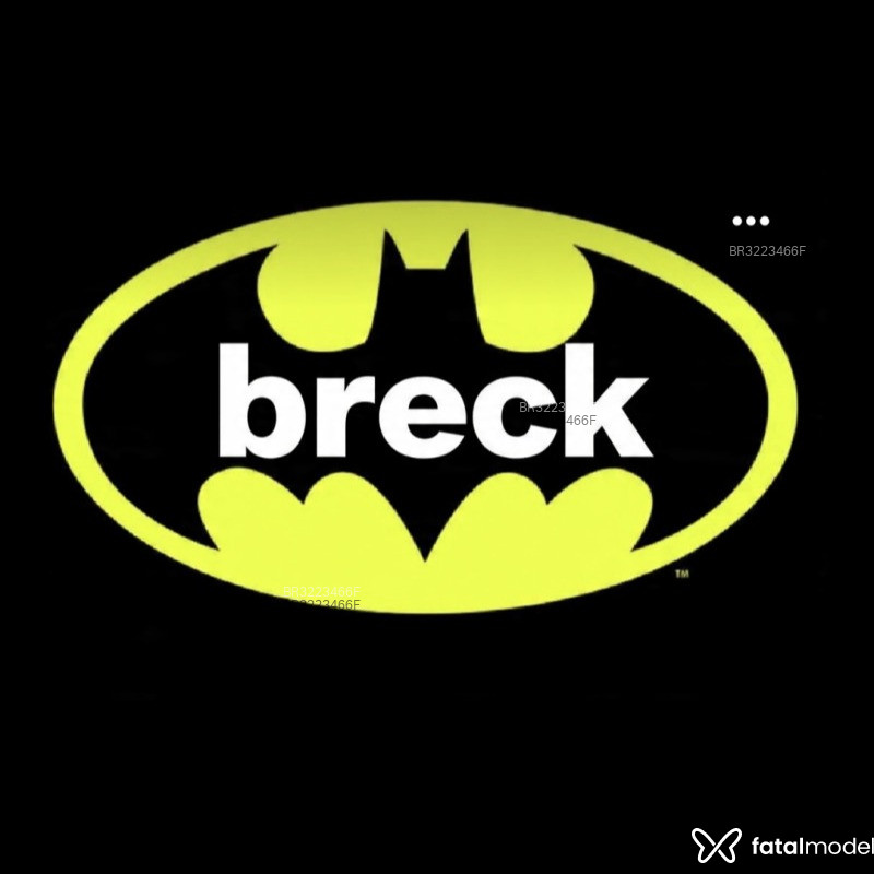 Acompanhante Breck - Feed