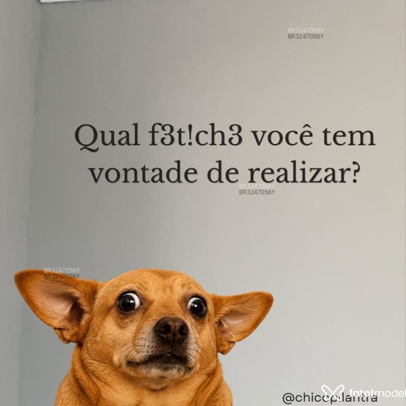 Acompanhante Lima Silva - Feed