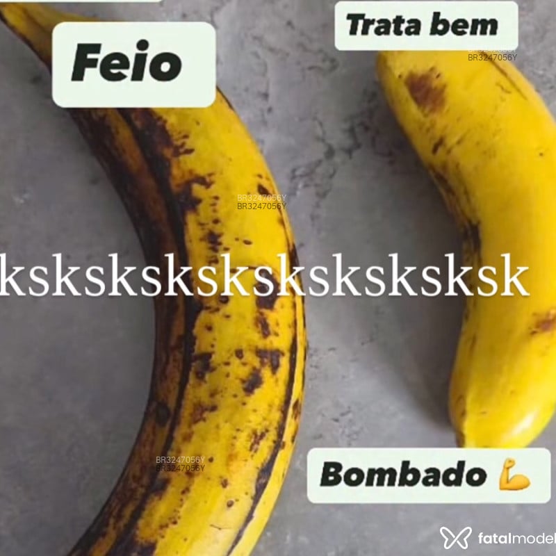 Acompanhante Lima Silva - Feed
