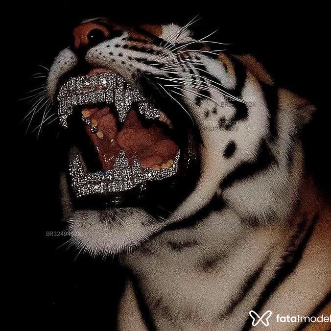 Acompanhante Pantera Negra - Feed