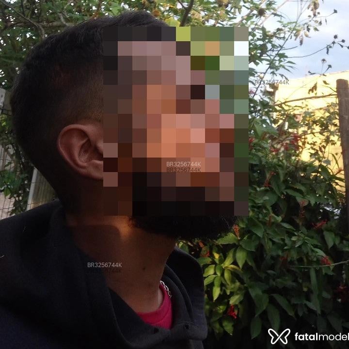 Acompanhante Pragmático - Feed