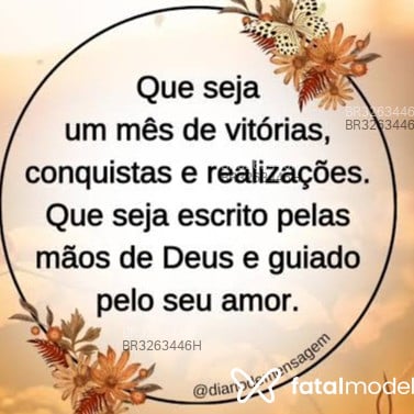 Acompanhante Erves Oliveira - Feed