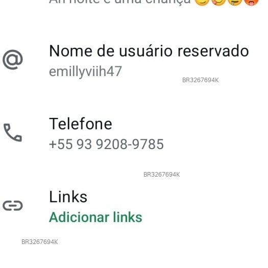 Acompanhante Emilly Vitória - Feed