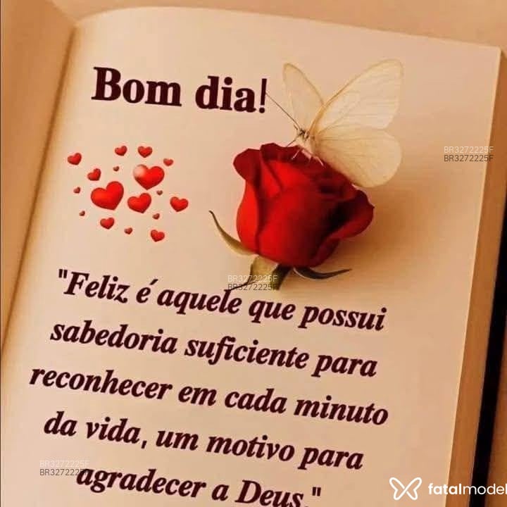 Acompanhante Tice Araujo - Feed