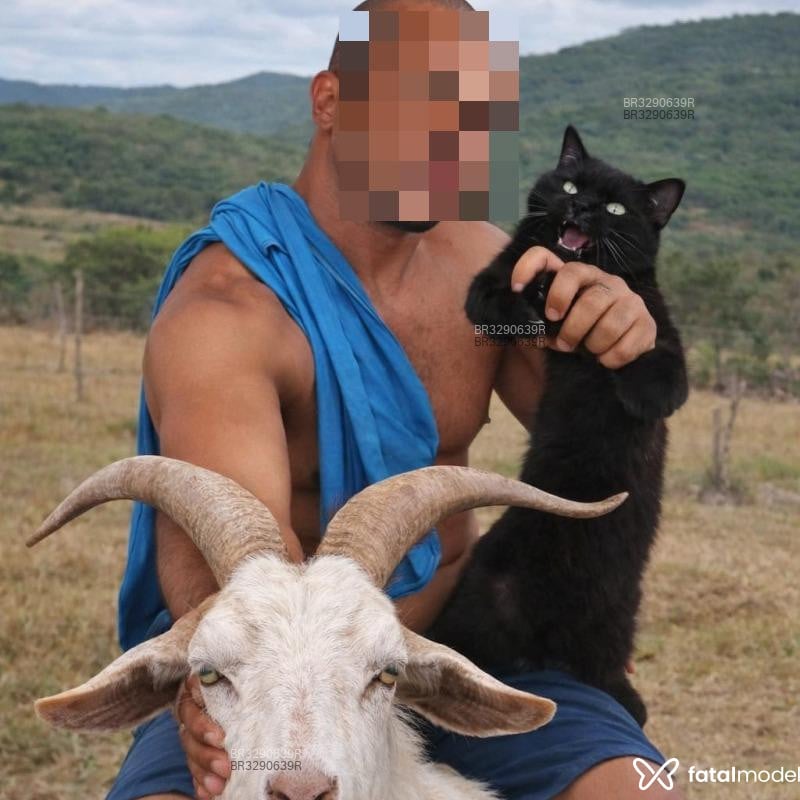 Acompanhante Junior - Feed
