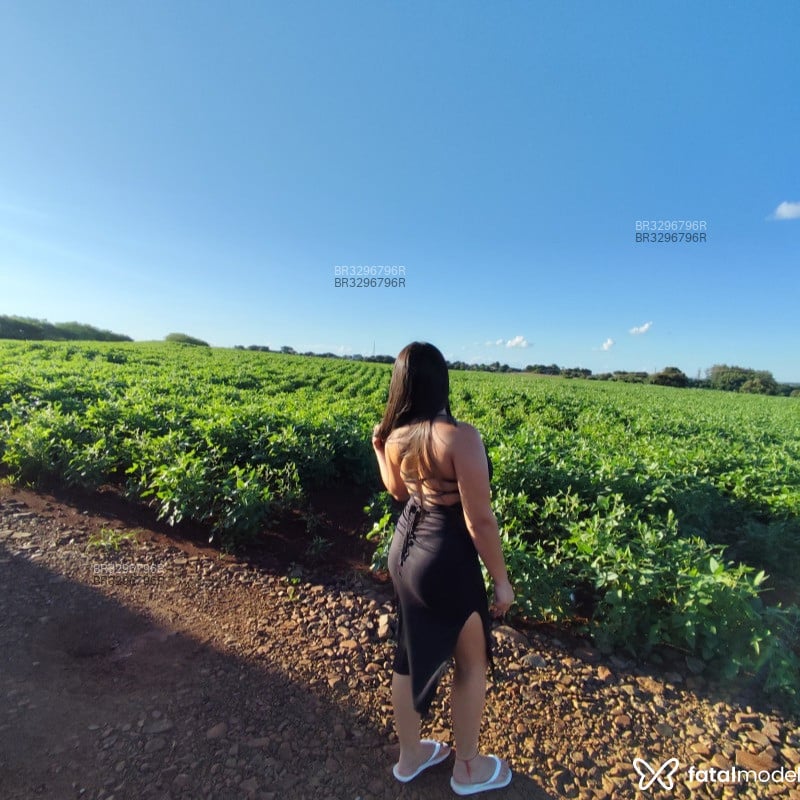 Acompanhante Stefany - Feed