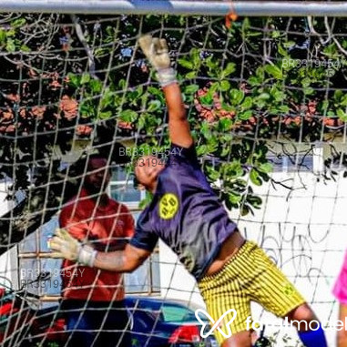 Acompanhante Robgool - Feed