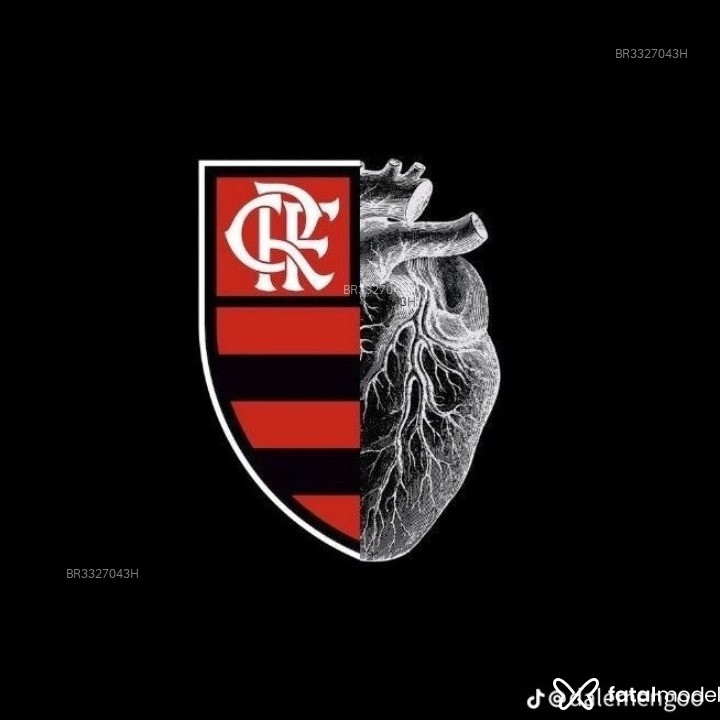 Acompanhante Alehandro - Feed