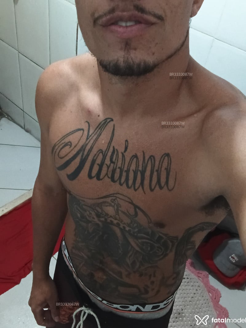 Acompanhante Tavares - Feed
