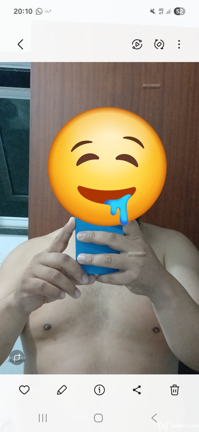 Acompanhante Fafadotado - Feed
