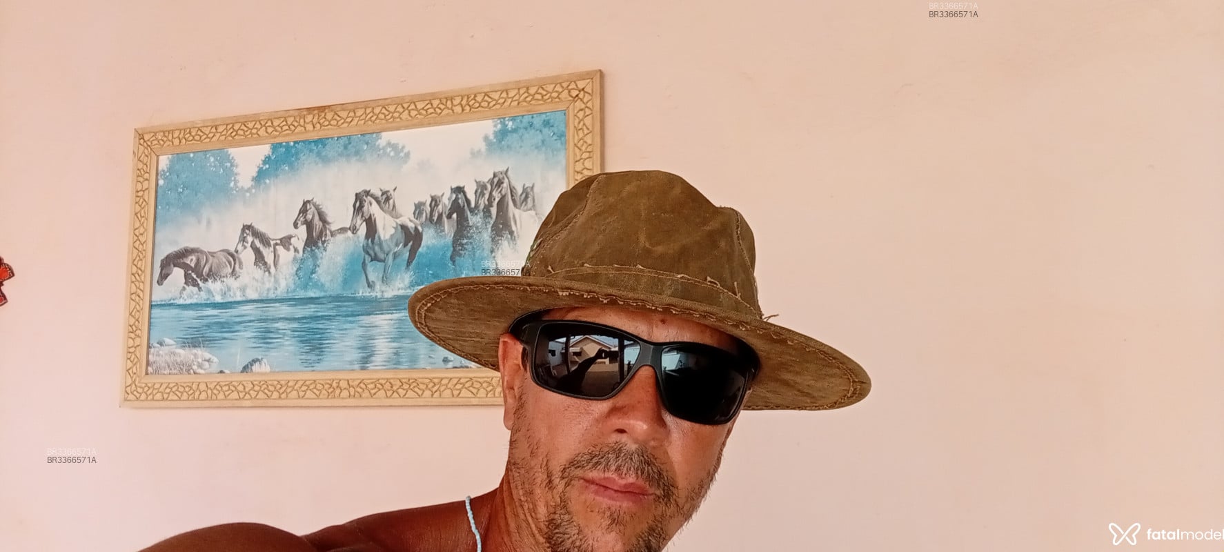 Acompanhante Robert - Feed