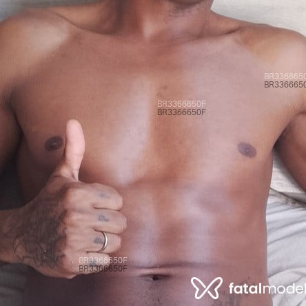 Acompanhante Trem Bala - Feed