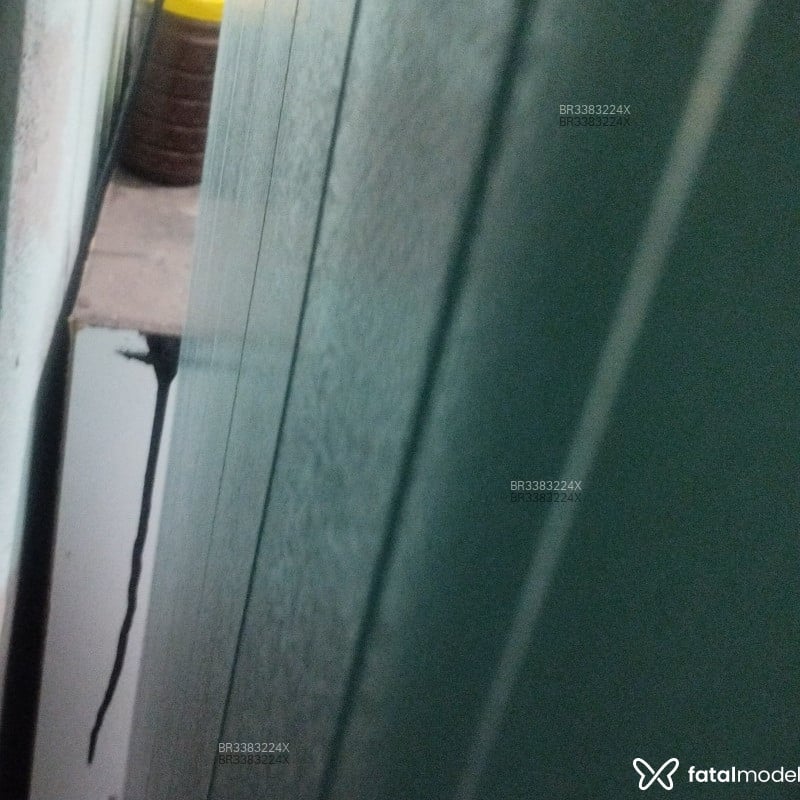 Acompanhante Fabinho Santos - Feed