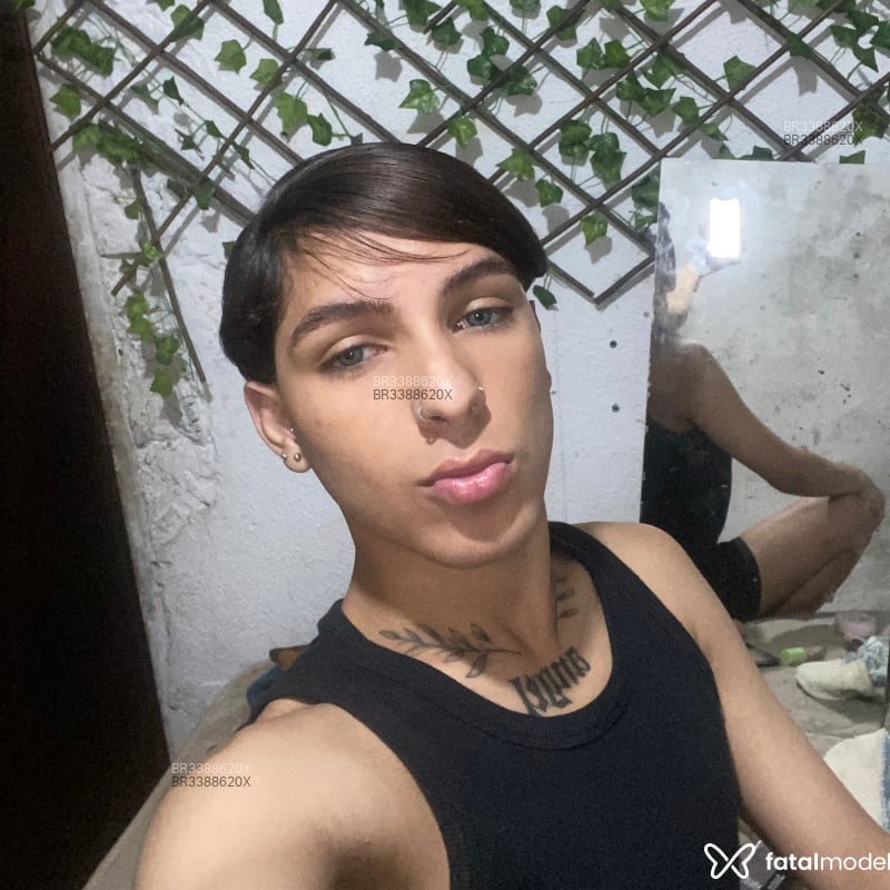 Acompanhante Gay Passivinho - Feed