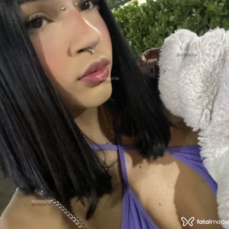 Acompanhante Aria - Feed