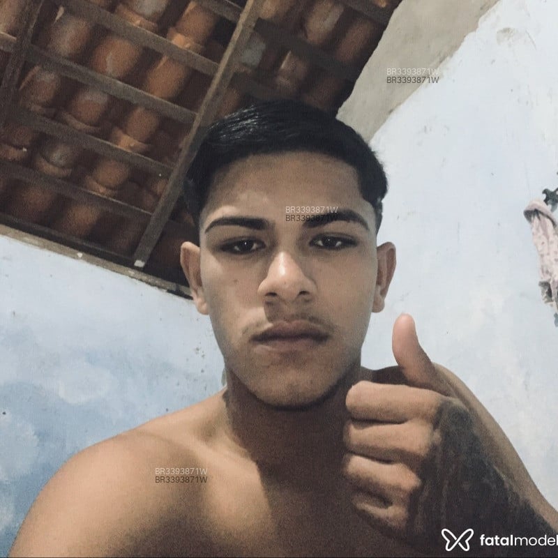 Acompanhante Vetin - Feed